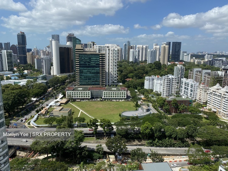 Trilight thumbnail photo